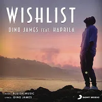 Dino James — Wishlist (Feat. Kaprila) — обложка